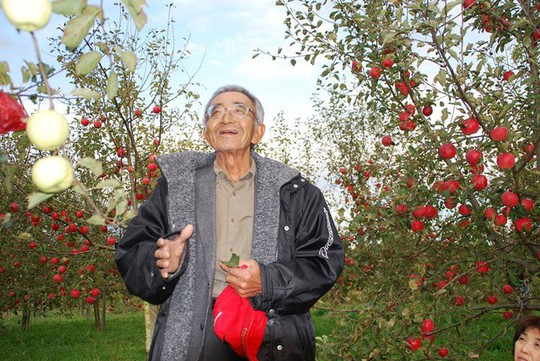 Vườn táo đẹp như cổ tích của cụ ông người Nhật | Địa Ốc