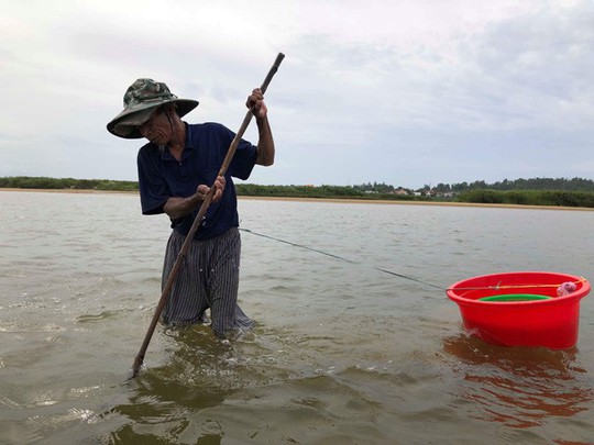 Cao thủ bật mí tuyệt chiêu săn lịch trên sông Trà Khúc - Ảnh 2.