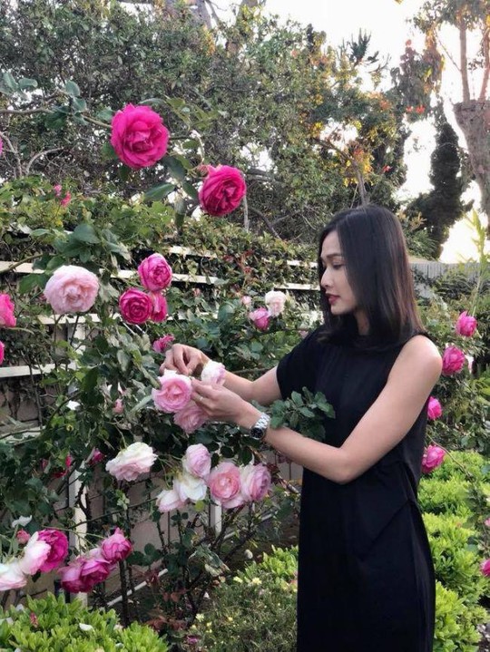 Hoa hậu Dương Mỹ Linh khoe vườn hoa hồng và cây ăn quả ở Mỹ - Ảnh 1.
