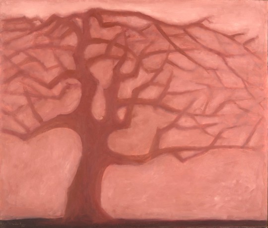 13-4hong-viet-dungvillage-tree-1532098239767648896739.jpg