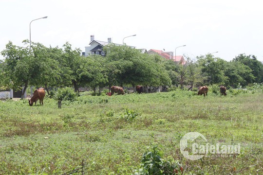 Đô thị vệ tinh: Vinh quang hay “mồ chôn” doanh nghiệp bất động sản? - Ảnh 6.