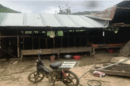 Đột nhập cơ sở chiết tách vàng trái phép, nhiều người khó thở, chảy nước mắt - Ảnh 3. Đột nhập cơ sở chiết tách vàng trái phép, nhiều người khó thở, chảy nước mắt - Ảnh 3.