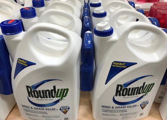 Không cảnh báo ung thư, Monsanto bị buộc bồi thường 289 triệu USD - Ảnh 1. Không cảnh báo ung thư, Monsanto bị buộc bồi thường 289 triệu USD - Ảnh 1.