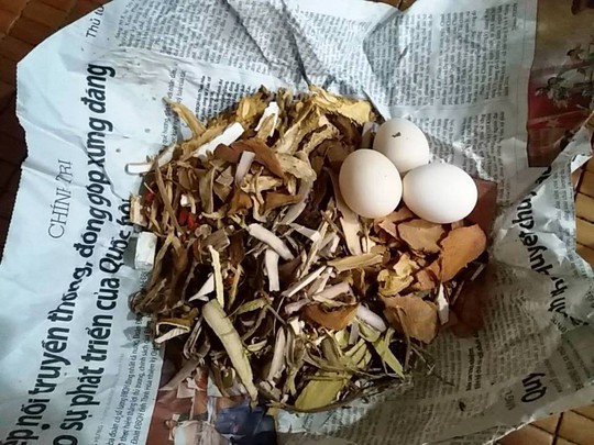 Thực hư tin đồn có ma thuốc độc ở Quảng Bình? - Ảnh 1. Thực hư tin đồn có ma thuốc độc ở Quảng Bình? - Ảnh 1.
