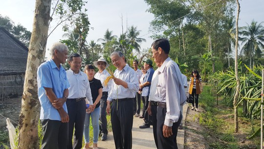 Nông dân lãi hơn 50 triệu đồng/ha nhờ trồng lúa sạch - Ảnh 2.