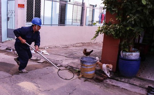 Bắt chó thả rông giữa trung tâm Sài Gòn - Ảnh 1.