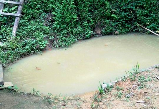 Liên tiếp xảy ra đuối nước, bé 3 và 4 tuổi tử vong thương tâm - Ảnh 1.