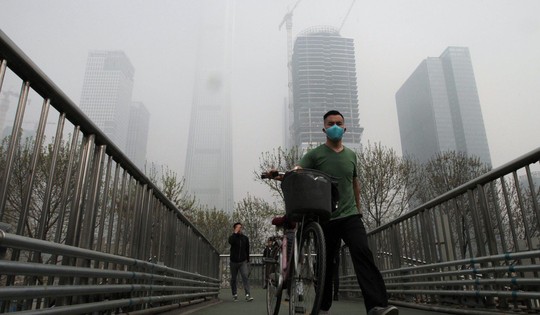 Trồng cây cuồng nhiệt, Bắc Kinh biến thành cái bẫy ô nhiễm khổng lồ - Ảnh 1.