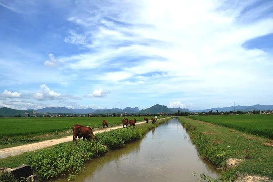 Nhiều khoản phí lạ ở Quảng Bình: Trâu, bò, vịt, máy cày,… ra đồng phải đóng phí - Ảnh 2. Nhiều khoản phí lạ ở Quảng Bình: Trâu, bò, vịt, máy cày,… ra đồng phải đóng phí - Ảnh 2.