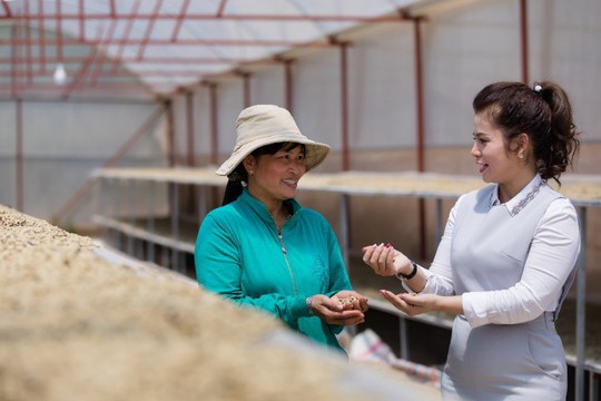 Giấc mơ mang tên cà phê của bà Lê Hoàng Diệp Thảo - Ảnh 3. Giấc mơ mang tên cà phê của bà Lê Hoàng Diệp Thảo - Ảnh 3.