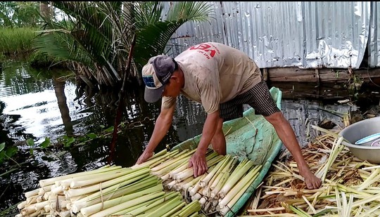 Về Cà Mau, sẽ hối hận nếu không thưởng thức đặc sản bồn bồn - Ảnh 3. Về Cà Mau, sẽ hối hận nếu không thưởng thức đặc sản bồn bồn - Ảnh 3.