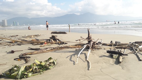 Hơn 7 tấn rác thải bủa vây 8km bờ biển Đà Nẵng - Ảnh 5.