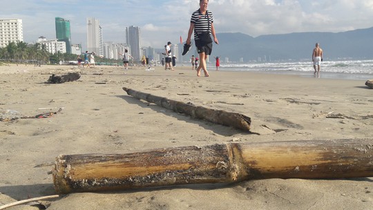 Hơn 7 tấn rác thải bủa vây 8km bờ biển Đà Nẵng - Ảnh 4.