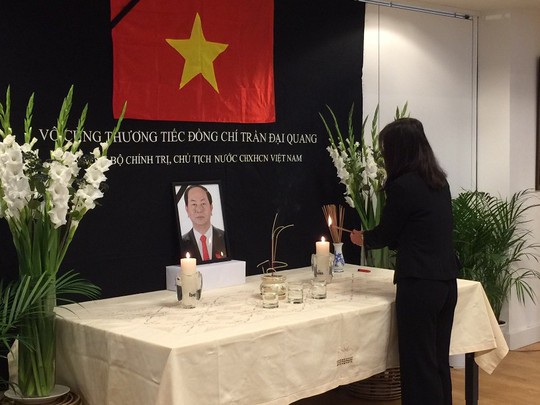 Lãnh đạo nước ngoài đến Đại sứ quán viếng Chủ tịch nước Trần Đại Quang - Ảnh 2.