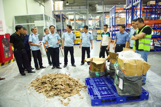 2 công ty đứng tên từ chối nhận gần 1 tấn ngà voi, vảy tê tê bị bắt ở Nội Bài - Ảnh 3.