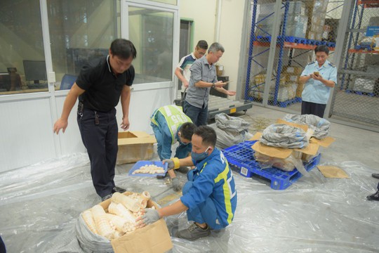 2 công ty đứng tên từ chối nhận gần 1 tấn ngà voi, vảy tê tê bị bắt ở Nội Bài - Ảnh 2.