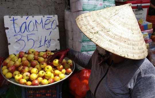 Táo mini Trung Quốc đội lốt “táo mèo” Hà Giang - Ảnh 2.