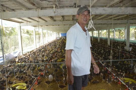 Chuồng 2 tầng nuôi gà nòi lai giúp một nông dân “hốt bạc” - Ảnh 1.