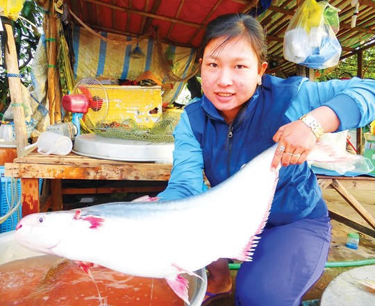 Trắng đêm theo dấu cá bông lau trên sông Hậu, Vàm Nao - Ảnh 2.