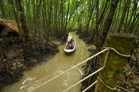 Điểm danh 4 khu sinh thái cực đẹp ngay gần Sài Gòn - Ảnh 14.