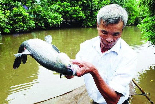 Làng Vũ Đại vào mùa kho cá - Ảnh 6.