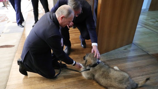 Tổng thống Putin được tặng quà đặc biệt ở Serbia - Ảnh 1.