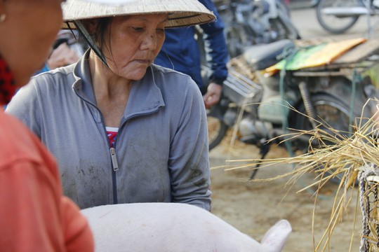 Nghề độc ở chợ heo lớn nhất Quảng Nam - Ảnh 11.