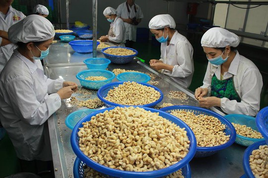 Việt Nam đặt mục tiêu vào tốp 15 nền nông nghiệp phát triển nhất thế giới - Ảnh 2.