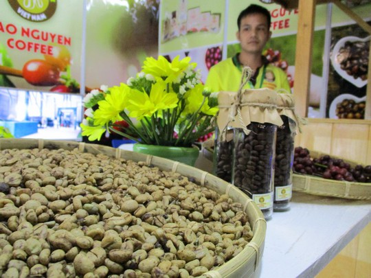 Việt Nam đặt mục tiêu vào tốp 15 nền nông nghiệp phát triển nhất thế giới - Ảnh 1.