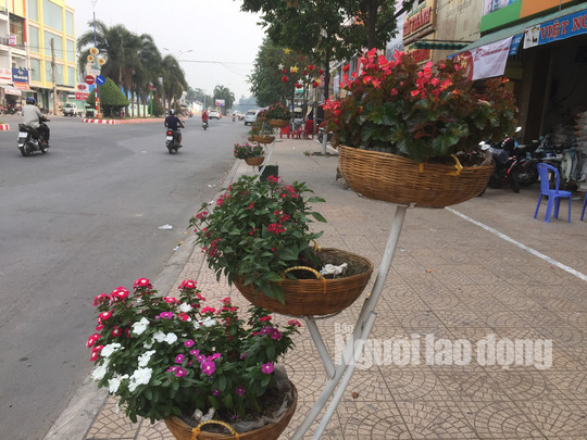Độc đáo những tuyến đường đầy hoa ở đất Sen hồng Đồng Tháp - Ảnh 1.