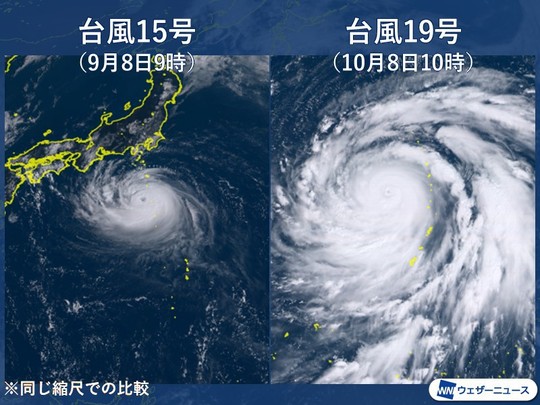 To gần bằng diện tích Nhật Bản”, siêu bão Hagibis gầm thét - Ảnh 3.