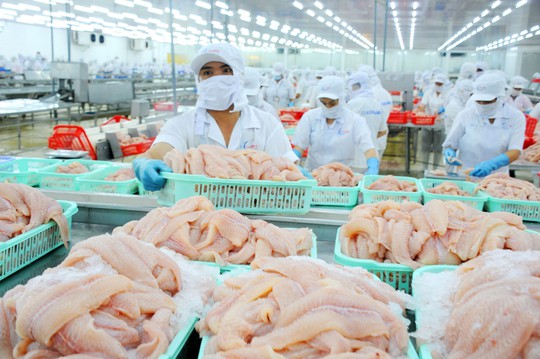 Cá tra trước cơ hội phục hồi ở Mỹ - Ảnh 1.