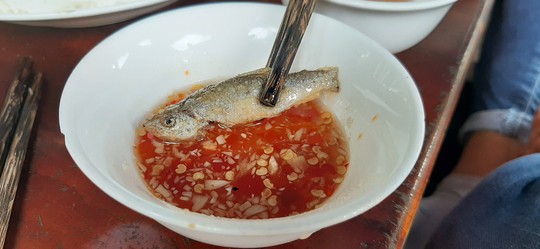 Một ngày ở rừng tràm Trà Sư mùa nước nổi - Ảnh 4.