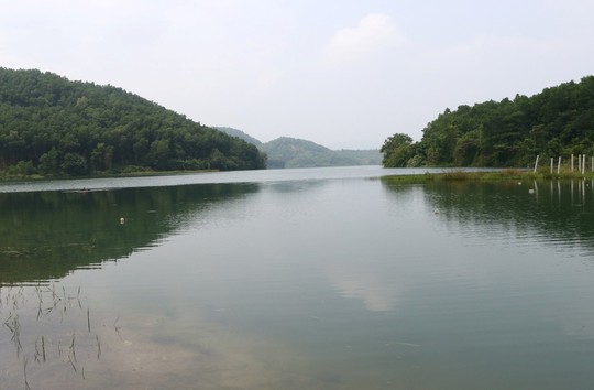 Sau vụ ô nhiễm nguồn nước, tình Hòa Bình đòi Công ty nước sạch Sông Đà trả hồ Đầm Bài - Ảnh 1.