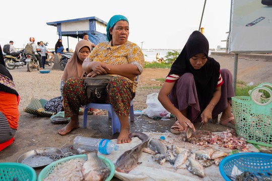 Campuchia: Xưa bắt cá bằng tay, nay thả lưới lớn cả ngày chẳng có chi - Ảnh 3.