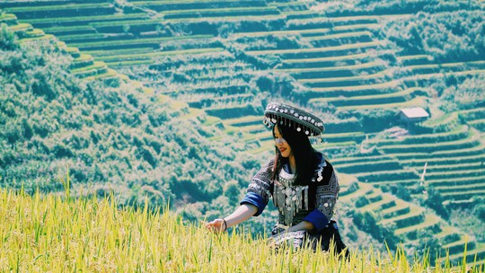 Mù Cang Chải lấp lánh những nấc thang vàng - Ảnh 6.