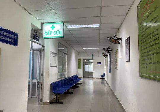 Bộ Y tế vào cuộc vụ sản phụ và thai nhi ở Đà Nẵng và Nghệ An tử vong - Ảnh 1.