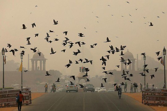 Báo động ô nhiễm không khí ở New Delhi - Ảnh 1.