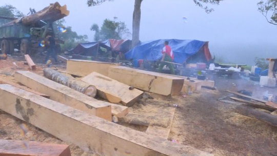 Khởi tố 10 đối tượng mở công trường khai thác gỗ ở 2 tỉnh Đắk Lắk - Khánh Hòa - Ảnh 3.