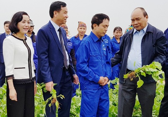 Thủ tướng: “Nông nghiệp, nông dân và nông thôn là chủ trương lớn” - Ảnh 2.