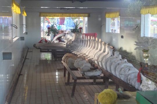 Lễ hội Nghinh Ông ở Bạc Liêu rút kinh nghiệm từ vụ chìm tàu khiến 3 người chết - Ảnh 2.