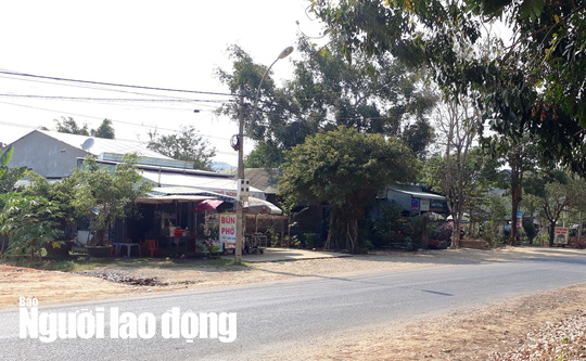 Lãnh đạo xã lấy đất công bán trái phép cho người thân - Ảnh 1.