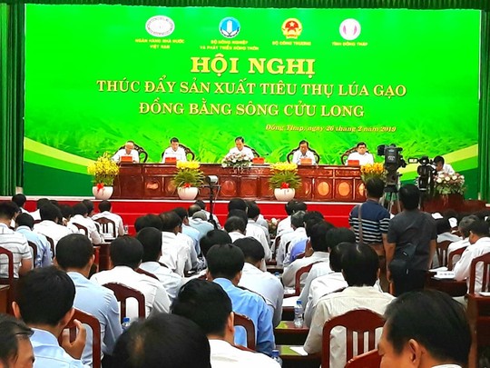 Đang diễn ra hội nghị giải cứu lúa gạo cho ĐBSCL - Ảnh 1.