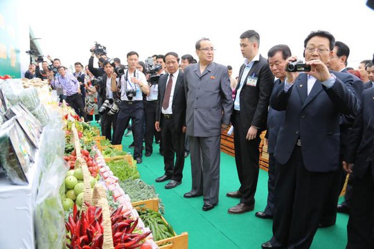 Việt Nam - Triều Tiên là quan hệ máu thịt - Ảnh 1.