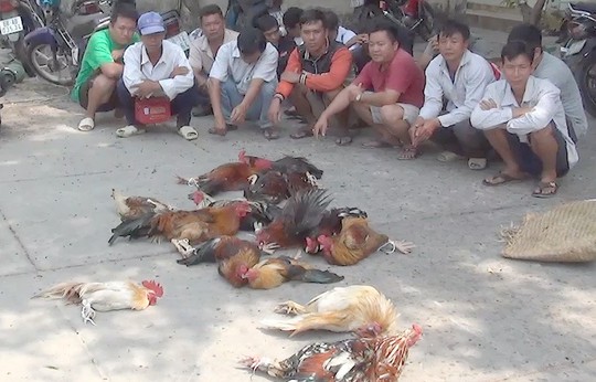 Bắt n&oacute;ng &ocirc;ng tr&ugrave;m chuy&ecirc;n hốt bạc tr&ecirc;n x&aacute;c g&agrave; chết - Ảnh 1.