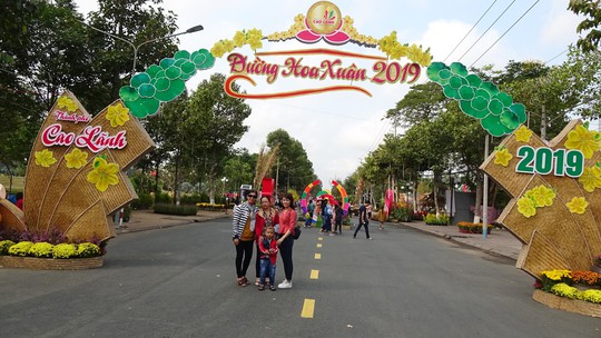 Lục bình, sen lên đường hoa Xuân ở thủ phủ đất Sen hồng Đồng Tháp - Ảnh 15.