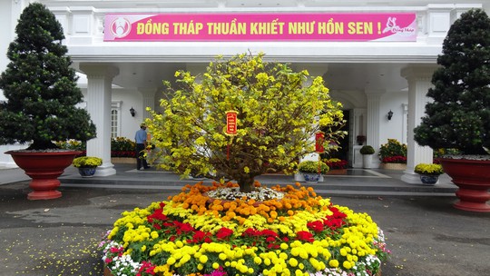 Trụ sở UBND tỉnh Đồng Tháp thân thiện đón khách du Xuân - Ảnh 16.
