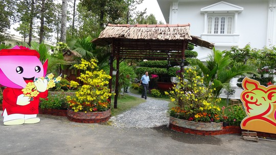Trụ sở UBND tỉnh Đồng Tháp thân thiện đón khách du Xuân - Ảnh 9.