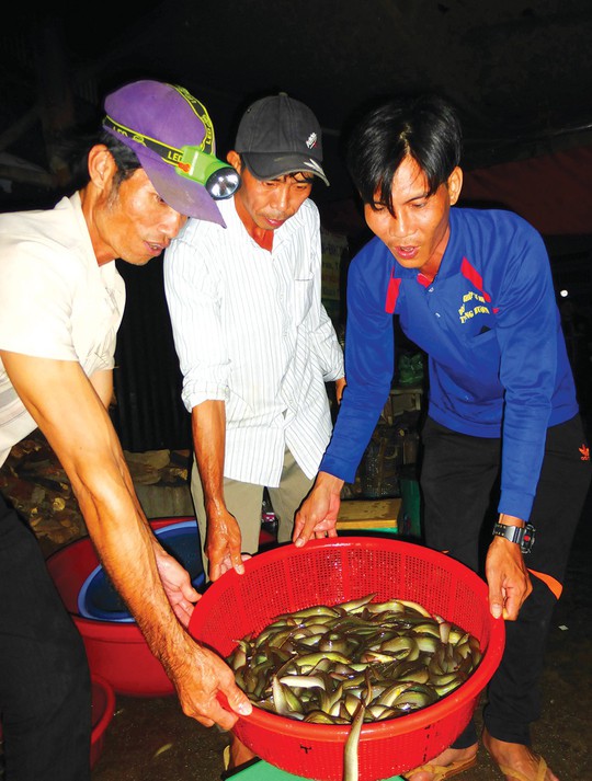 Mê mẩn ở chợ cá đồng lớn nhất miền Tây - Ảnh 4.