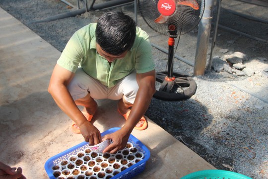 Đầu năm, thăm trang trại rau sạch ở “đảo ngọc” Phú Quốc  - Ảnh 1.